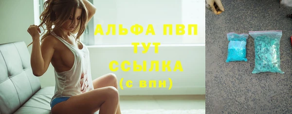 PSILOCYBIN Богданович
