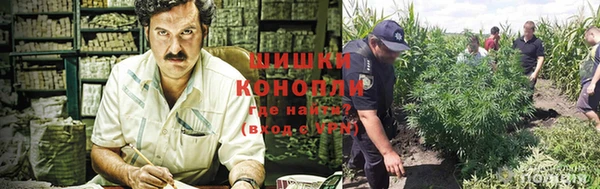 гашиш Богородицк