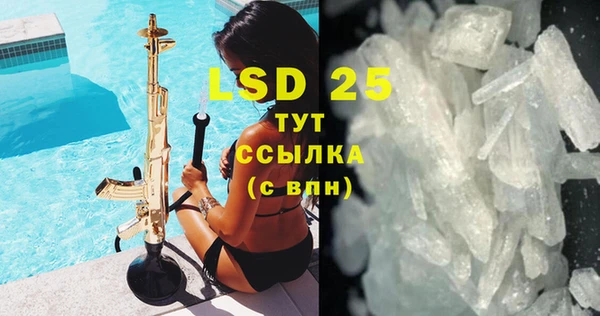 PSILOCYBIN Богданович