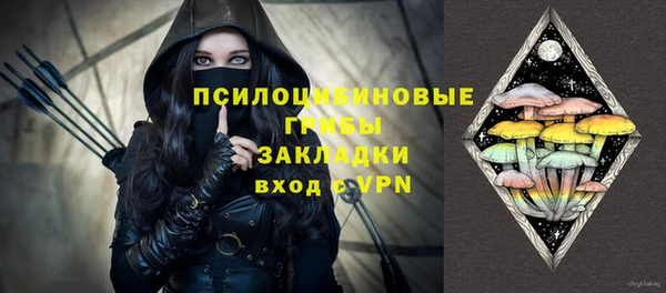 PSILOCYBIN Богданович