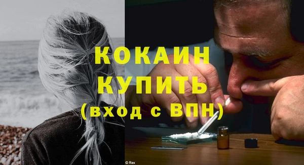 PSILOCYBIN Богданович