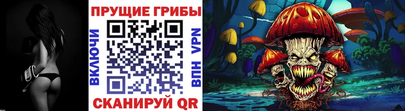 нарко площадка официальный сайт  Щучье  Галлюциногенные грибы MAGIC MUSHROOMS  наркотики 