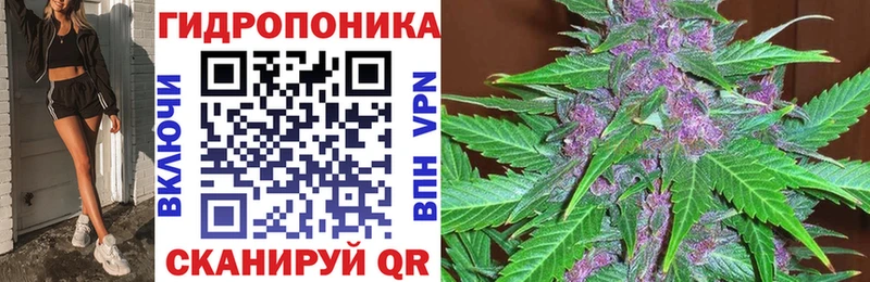 наркотики  Щучье  Бошки Шишки MAZAR 